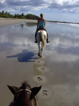 Wanderreiten an einsamen Stränden Costa Ricas - so schön kann Reiterurlaub sein. / Cross country riding at stunning beaches in Costa Rica.