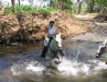 Let your horse splash in Costa Ricas rivers. / Lass Dein Pferd in Costa Ricas Flüssen spielen.