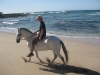 Horse and rider at the beach in Playa Junquillal / Pferd und Reiter am Strand von Playa Junquillal.
